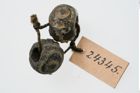 Foto von Glasaugenperle (NHMW-PRAE-024345)
